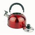 Color Flat Stainless Steel Canteen Kettle